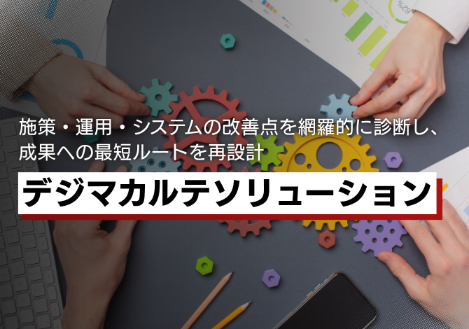 デジマカルテソリューション