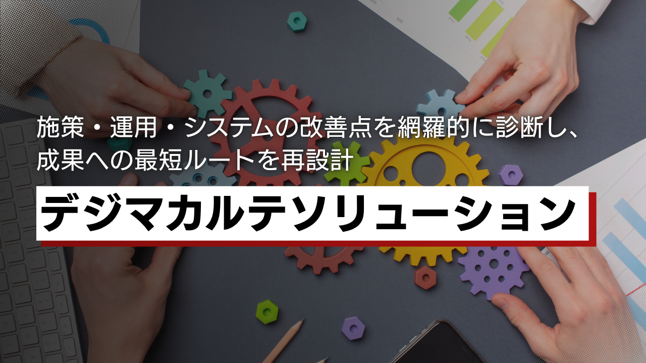 デジマカルテソリューション